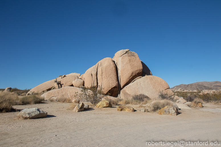 Joshua Tree